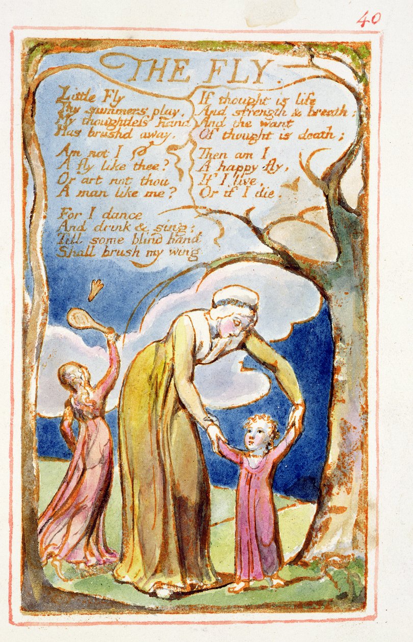 S.125-1950.pt40 Sinek: Masumiyet ve Deneyim Şarkıları'ndan 40 numaralı plaka (kopya AA) c.1815-26 (gravür, mürekkep ve wc) by William Blake