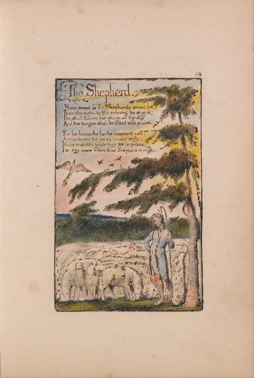 Masumiyet ve Tecrübe Şarkıları by William Blake