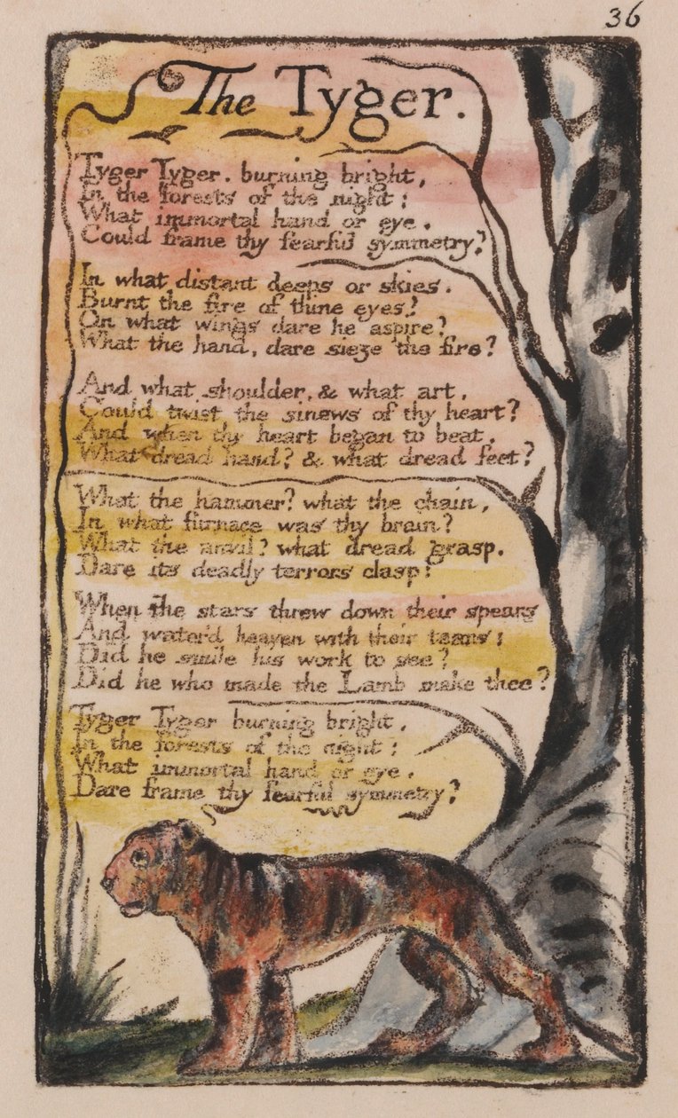 Masumiyet ve Deneyim Şarkıları, Plaka 36, The Tyger (Bentley 42) by William Blake