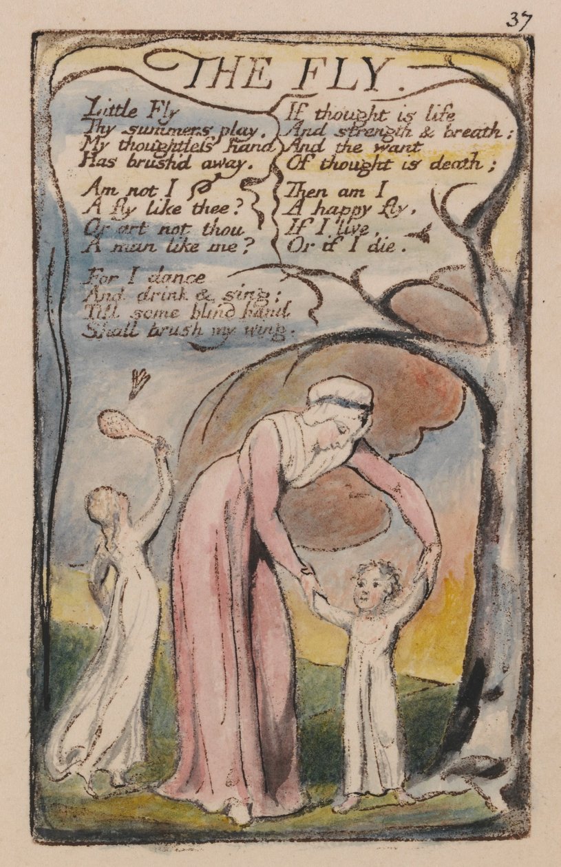 Masumiyet ve Deneyim Şarkıları, Levha 37, The Fly (Bentley 40) by William Blake