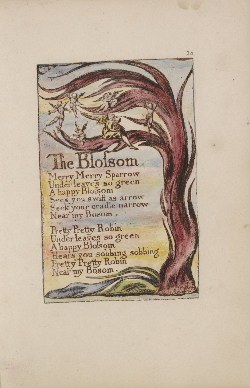 The Blossom, Songs of Innocence and of Experience [Bentley 11] c.1789-94