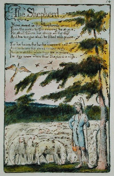 Çoban, Songs of Innocence and of Experience