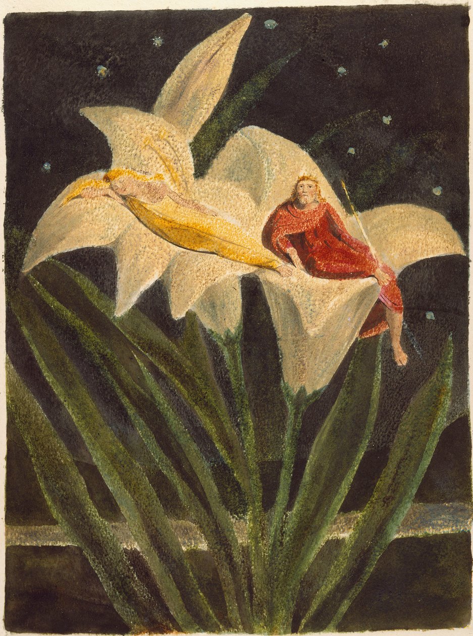 Los