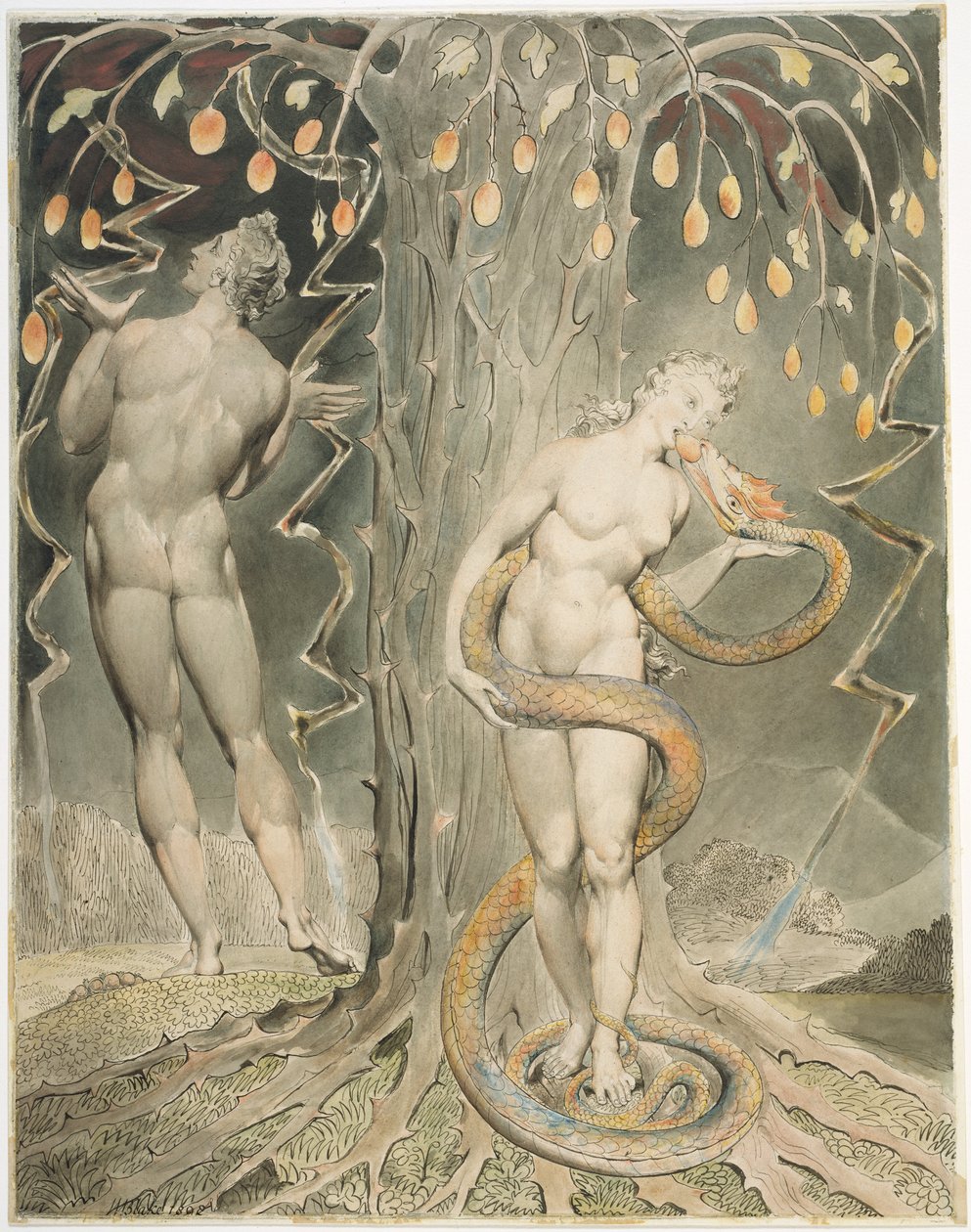 The Temptation and Fall of Eve Illustration to Miltons Paradise Lost  by William Blake