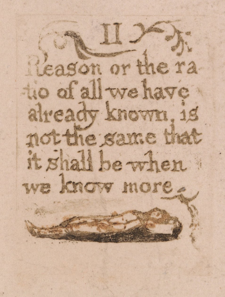 Doğal Din Yoktur, Levha 11, II Sebep veya Oran. . . . (Bentley b4) by William Blake