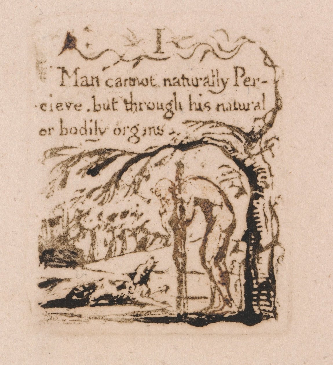 Doğal Din Yoktur, Levha 3, İnsanoğlu doğal olarak yapamam. . . . (Bentley a4) by William Blake