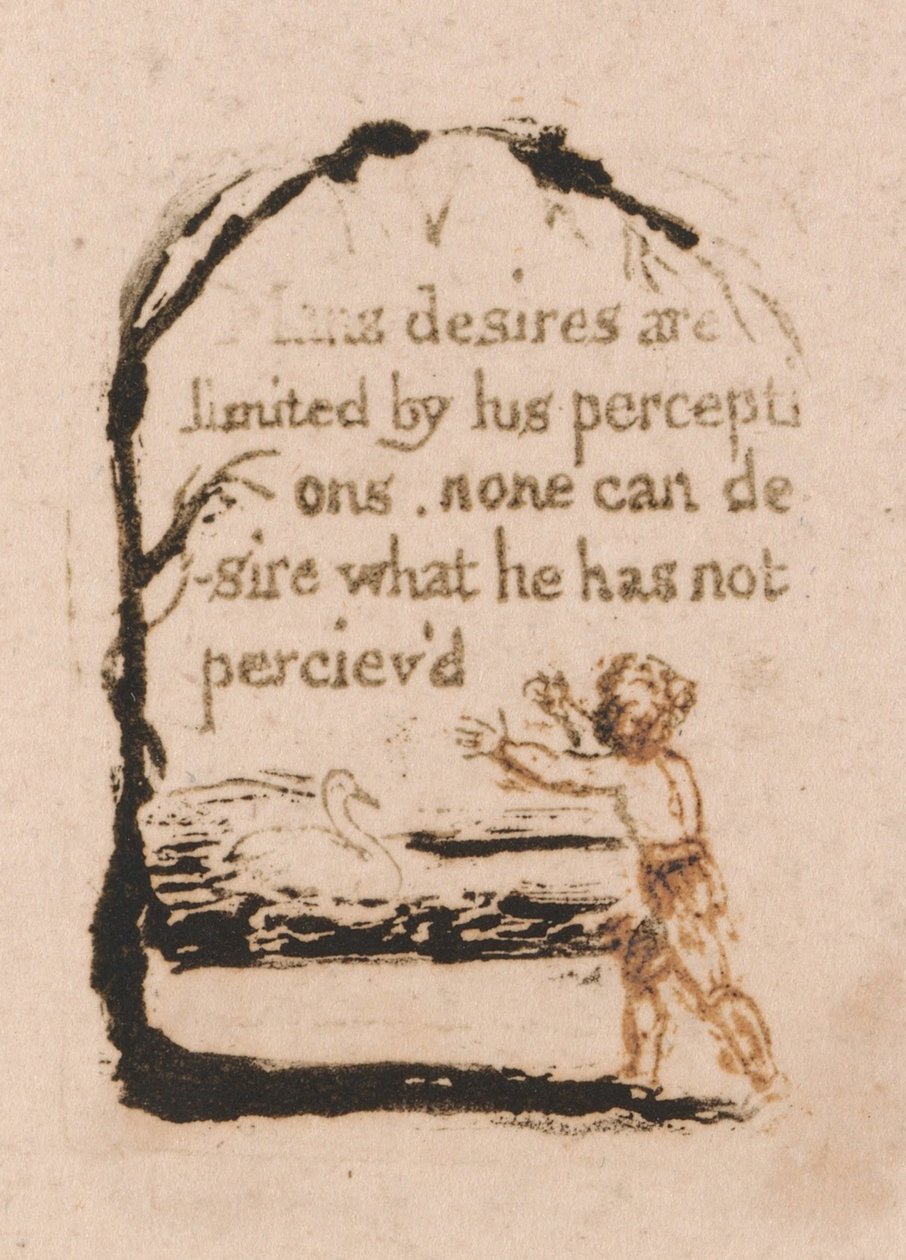 Doğal Din Yoktur, Levha 7, by William Blake
