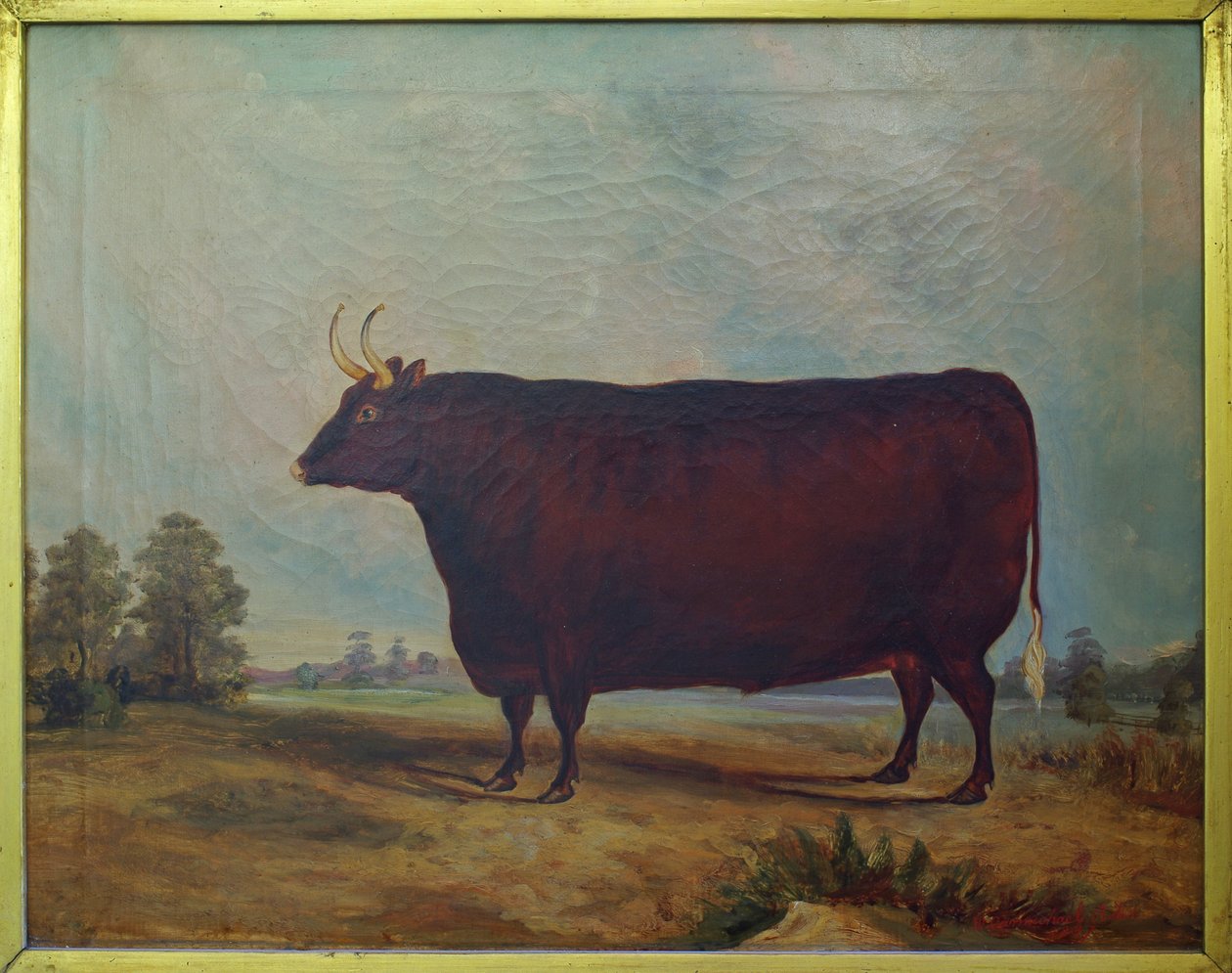 Bir Peyzajda Kuzey Devon Öküz, 1837 by William Carmichael Baker