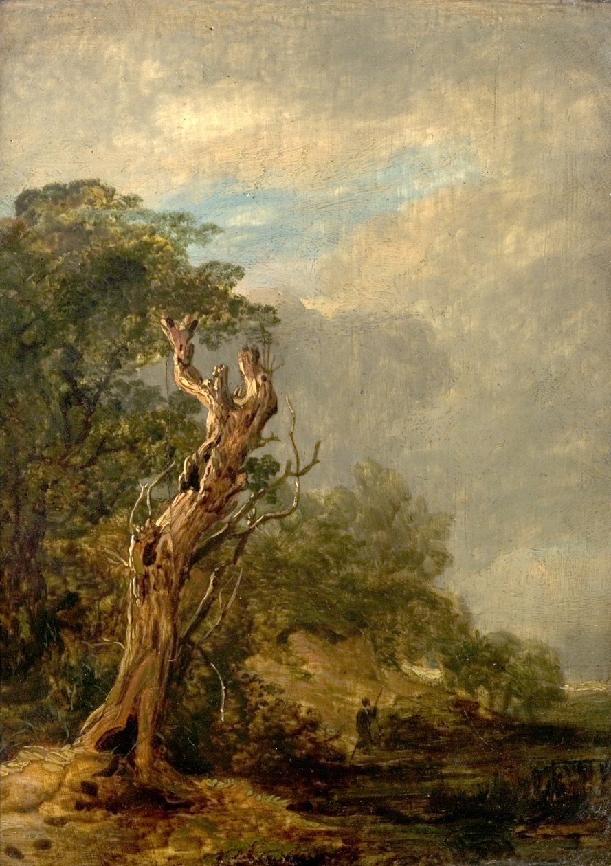 solmuş ağaç by William Collins