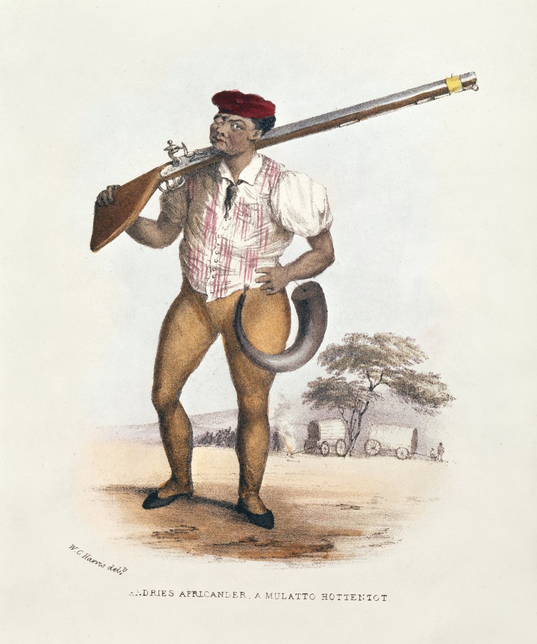 Andries Africander, bir Mulatto Hottentot, Wild Sports of South Africa, W.C. Harris, 1841 by William Cornwallis Harris