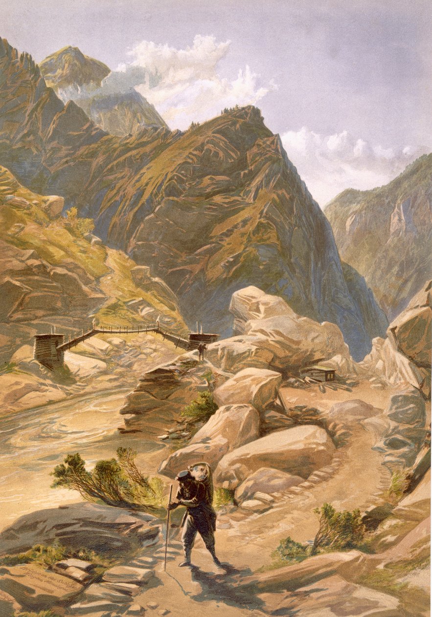 Wangtoo