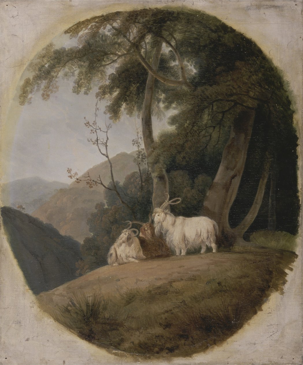 Keşmir Keçileri, c.1780-1820 by William Daniell