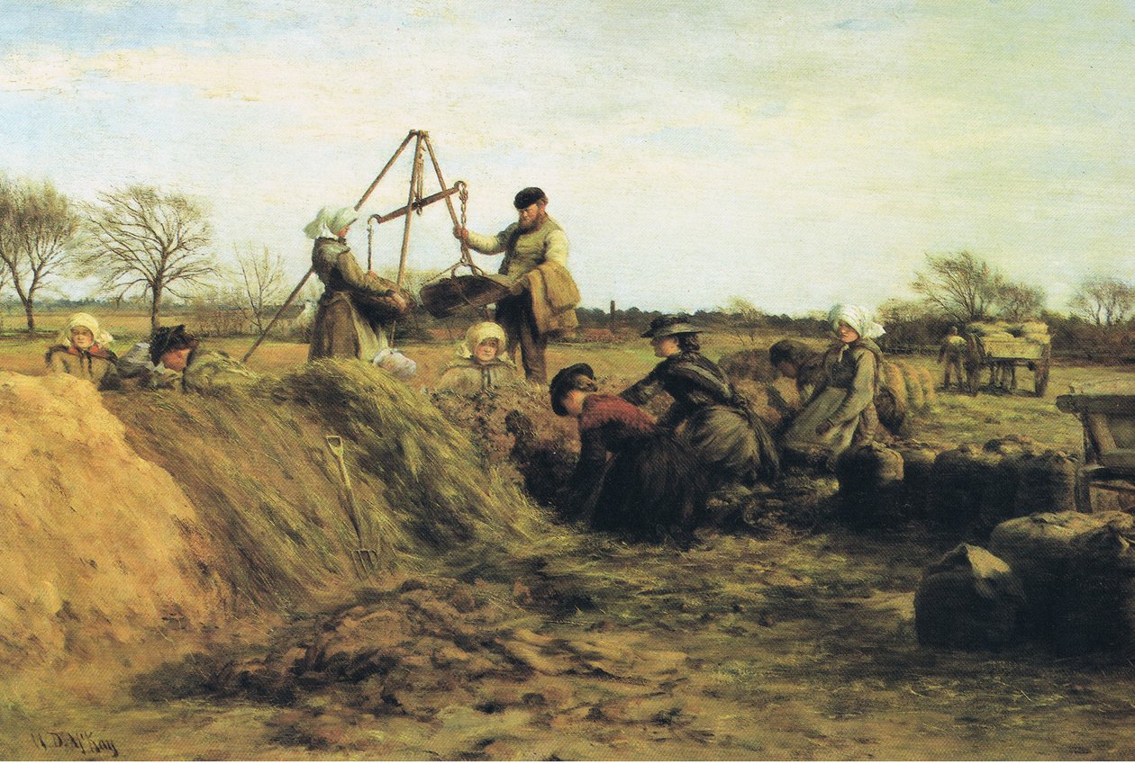 İlkbaharda tarla çalışması-patates ocaklarında by William Darling Mackay