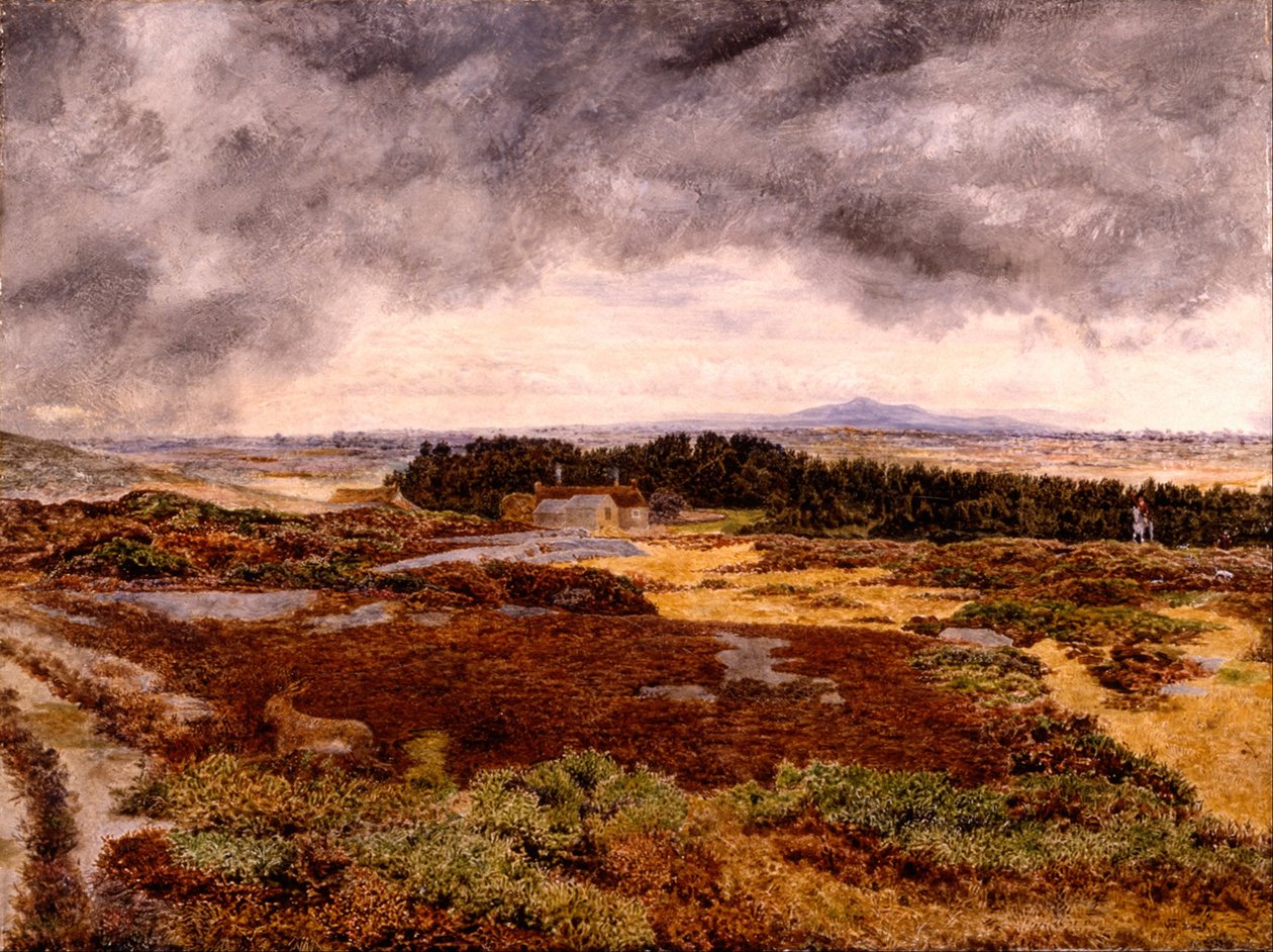 Bidston Hill