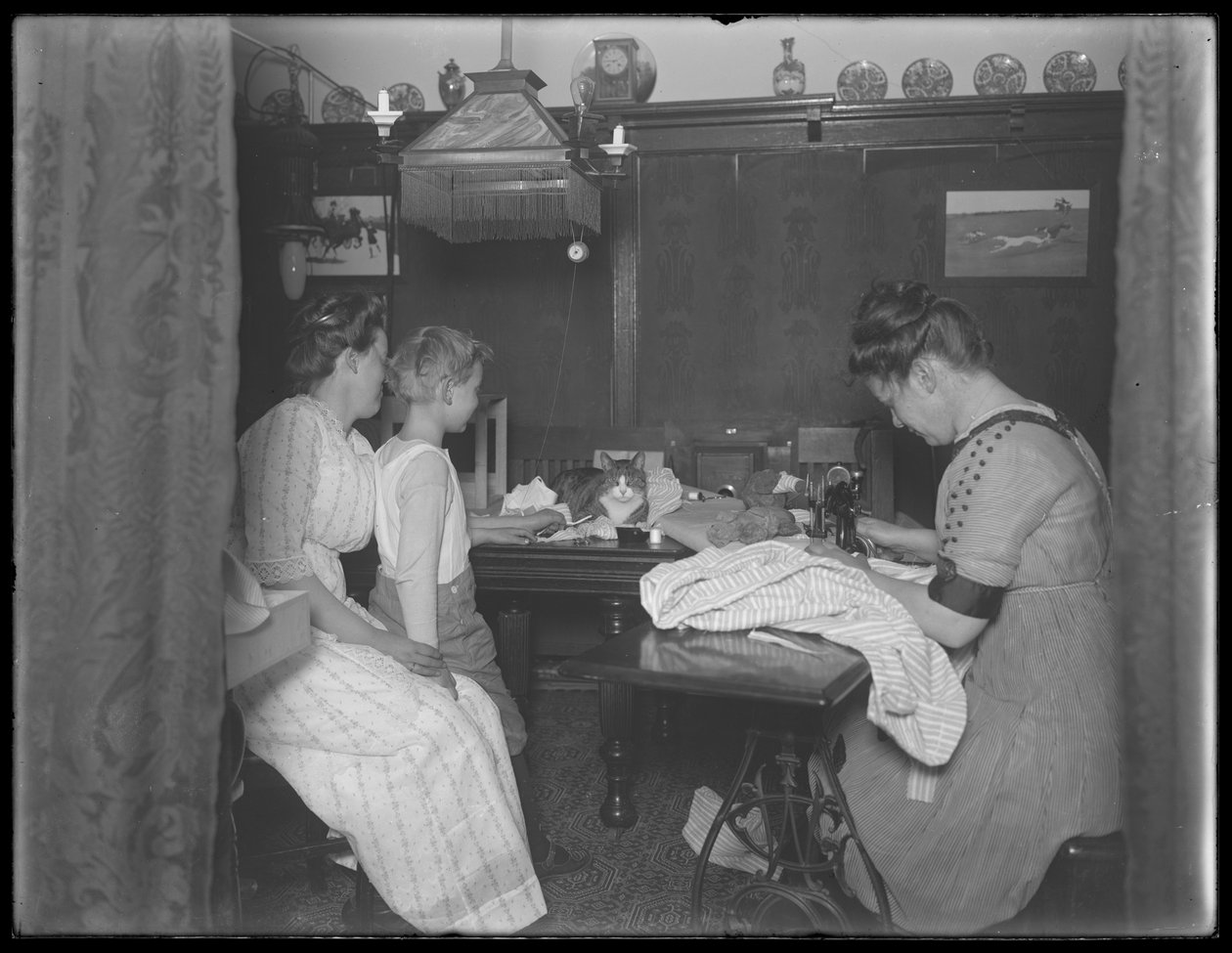 Ethel Grey Magaw Hassler, William Gray Hassler (küçük çocuk), Harriet E. Hassler (dikiş makinesini çalıştırıyor) ve Reddy (kedi), 150 Vermilyea Bulvarı, Apartman 44, New York City, c.19 yemek alanında by William Davis Hassler