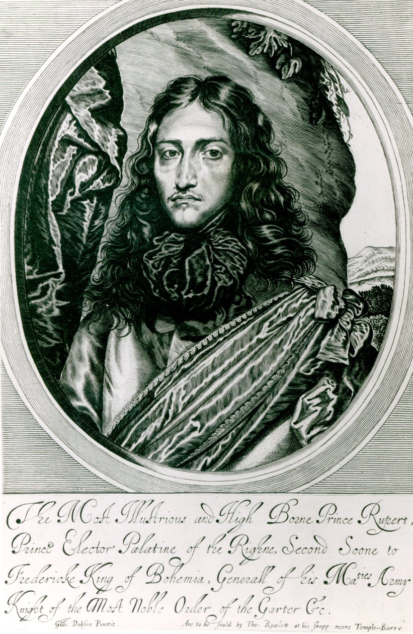 William Faithorne tarafından oyulmuş Ren Prensi Rupert by William Dobson