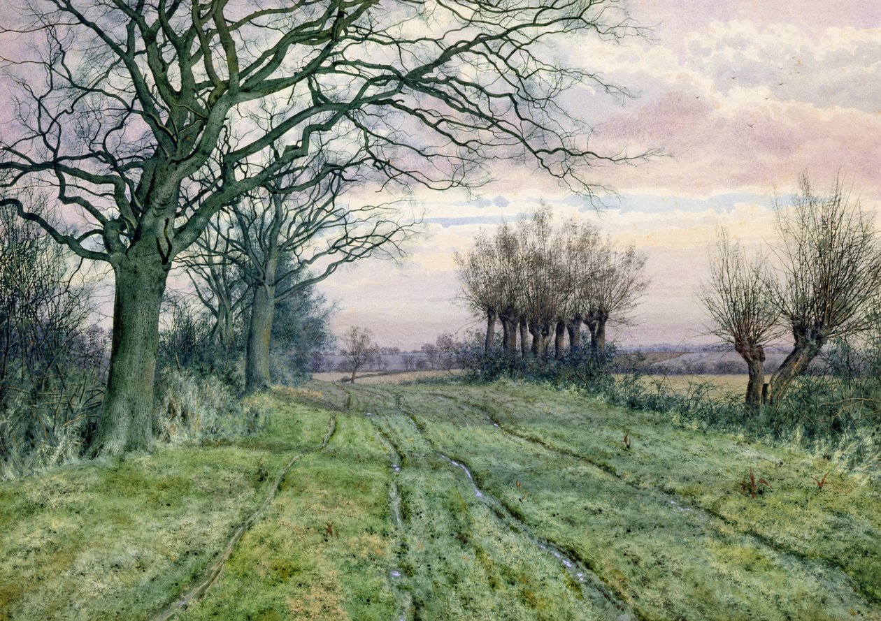 A Fenland Lane with Pollarded Willows, 1887  by William Fraser Garden