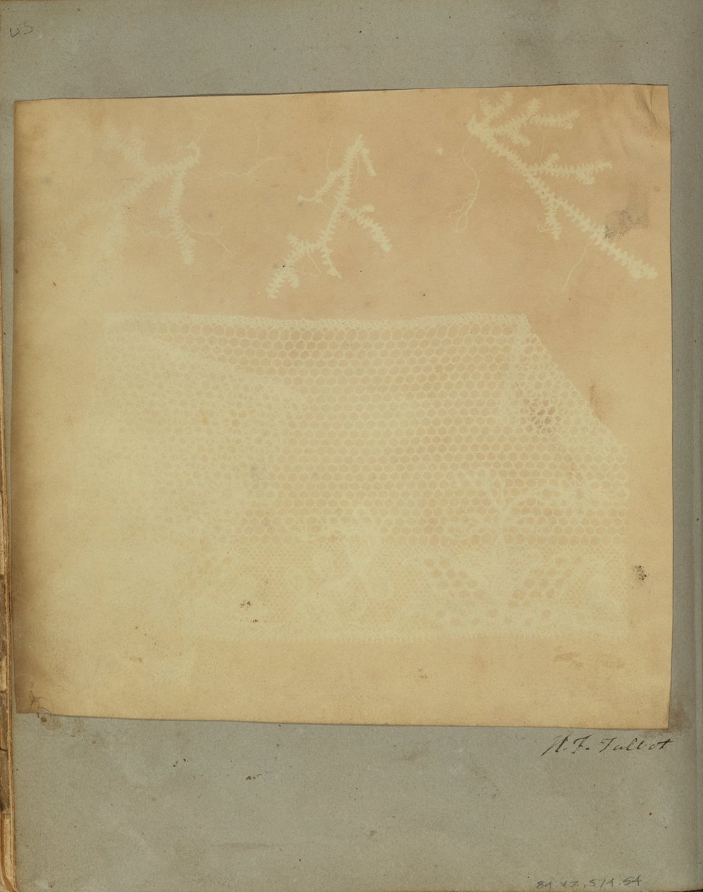 Üç Dal Yosunlu Bir Dantel Parçası. by William Henry Fox Talbot
