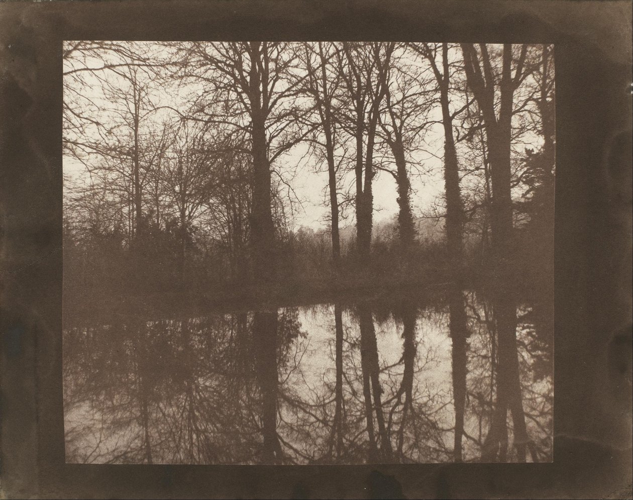 Ağaçlar ve Yansımalar by William Henry Fox Talbot