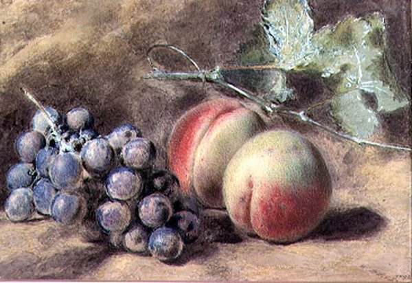 Üzüm ve Şeftali, 19. yüzyıl by William Henry Hunt