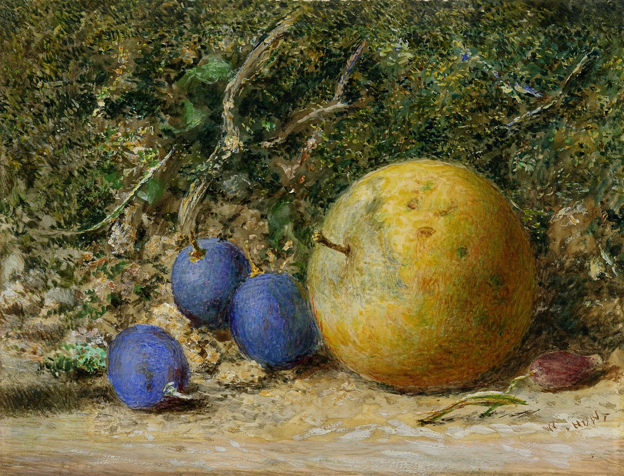 Üç Üzüm ve Bir Elma (kağıt üzerinde wc) by William Henry Hunt