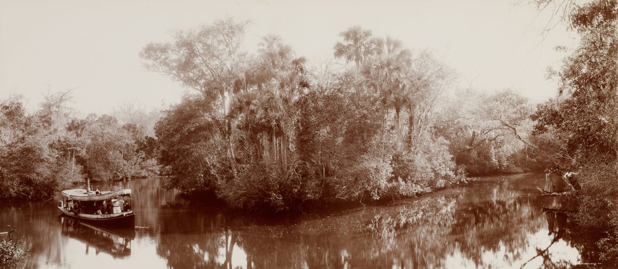 Ormond, Florida yakınlarındaki Tomoka