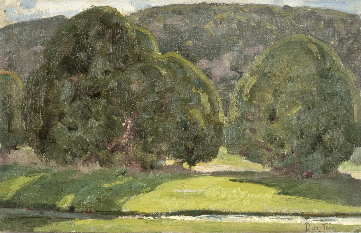 Güneş Işığı ve Sedirler, c.1933 by William Herbert Buck Dunton