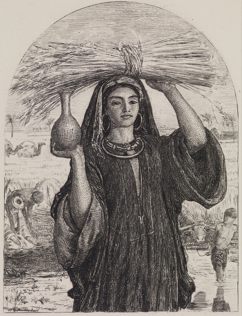 Mısır