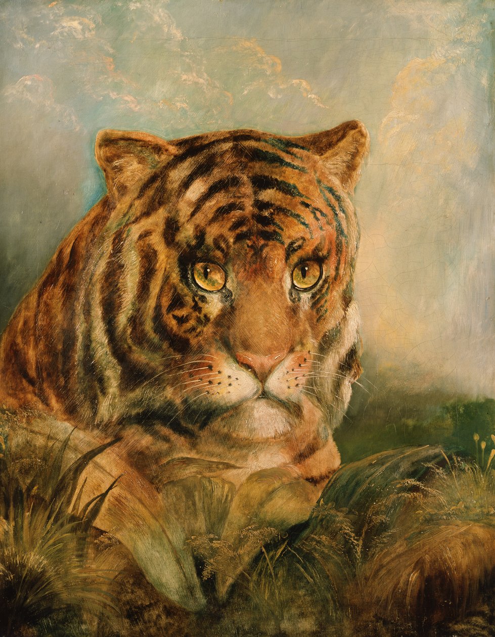 Bilinmeyen resim by William Huggins