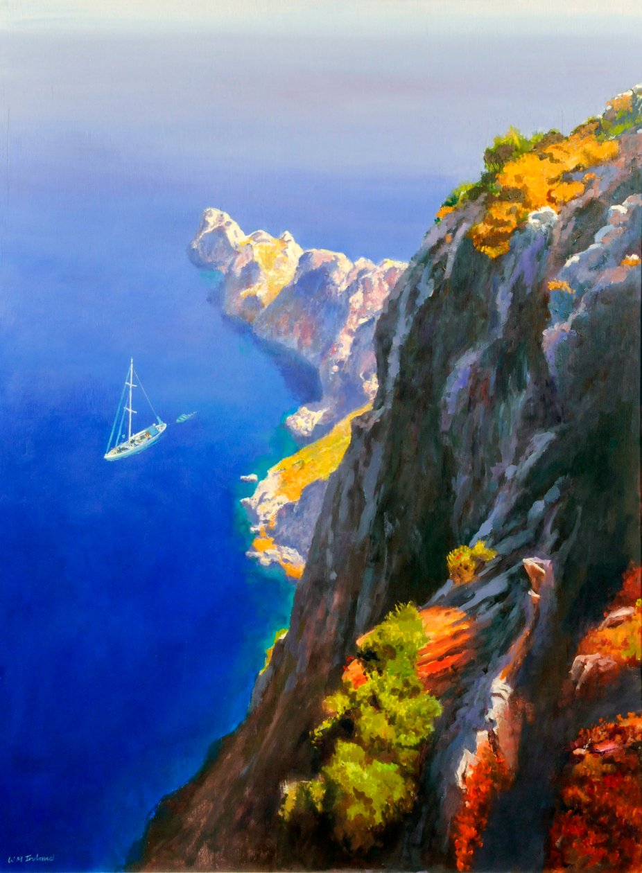 Mavi Yat, 20078 by William Ireland