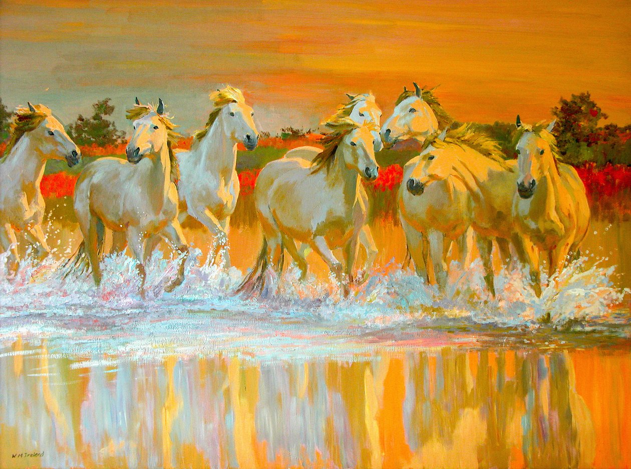 camargue by William Ireland