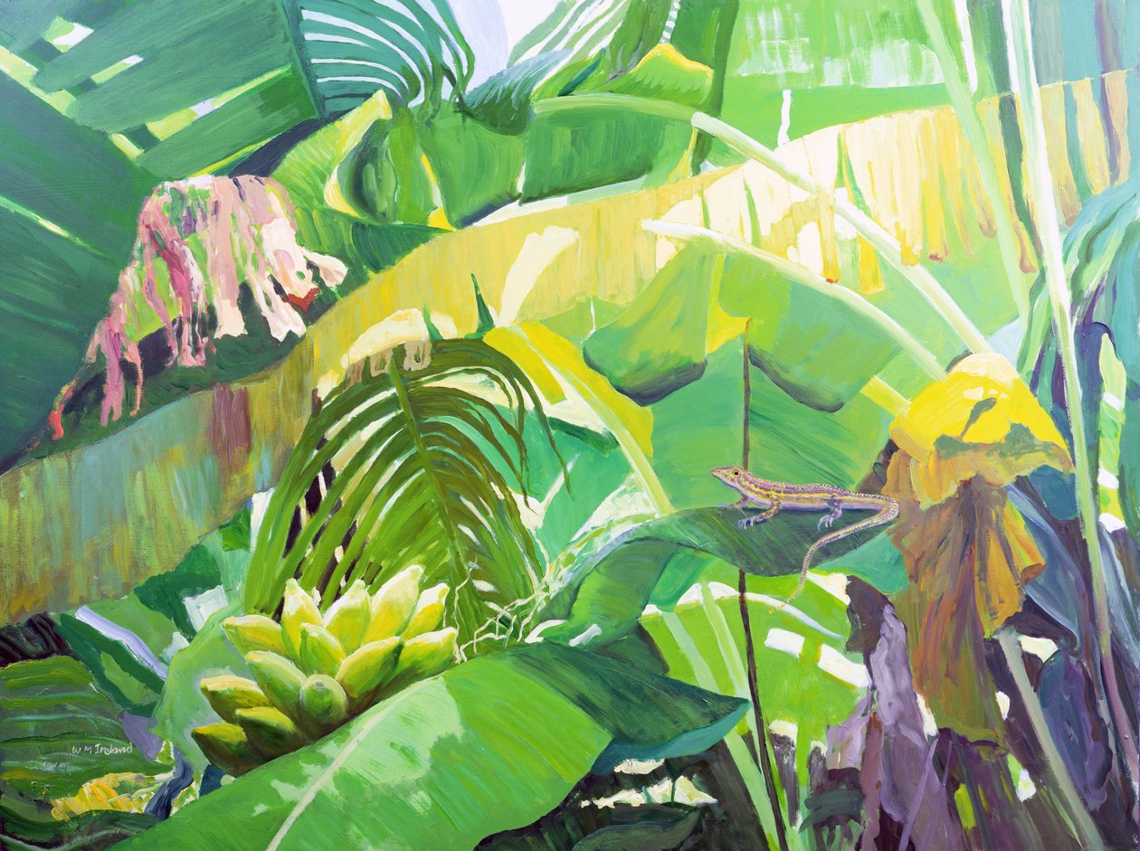 Gekko  by William Ireland