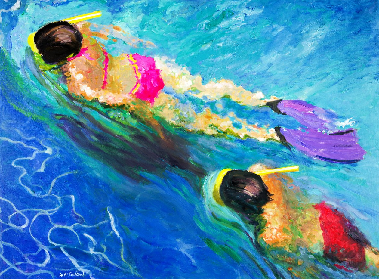 Takip, 2005 by William Ireland