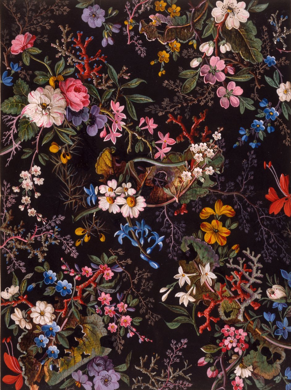 Tekstil tasarımı, c.1788-92 (kağıt üzerinde wc) by William Kilburn
