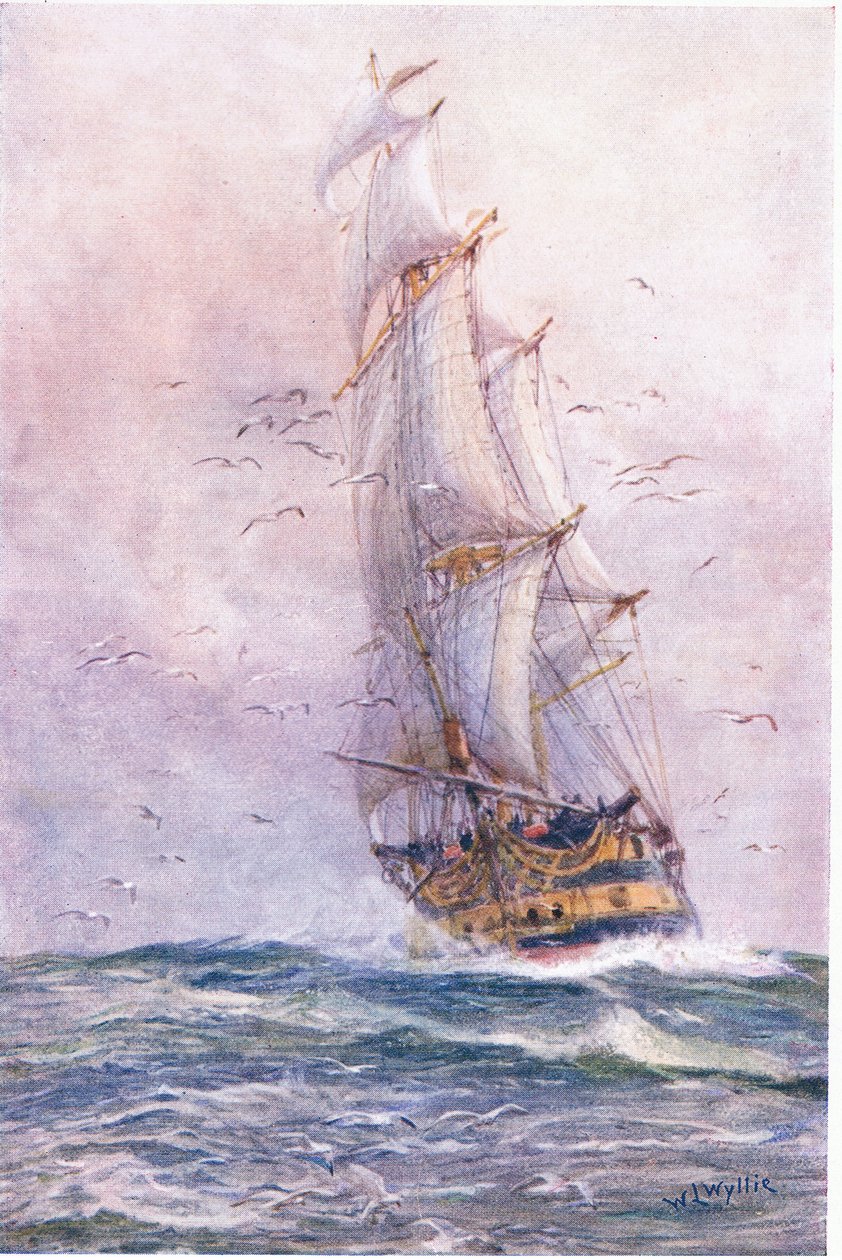 Nelson