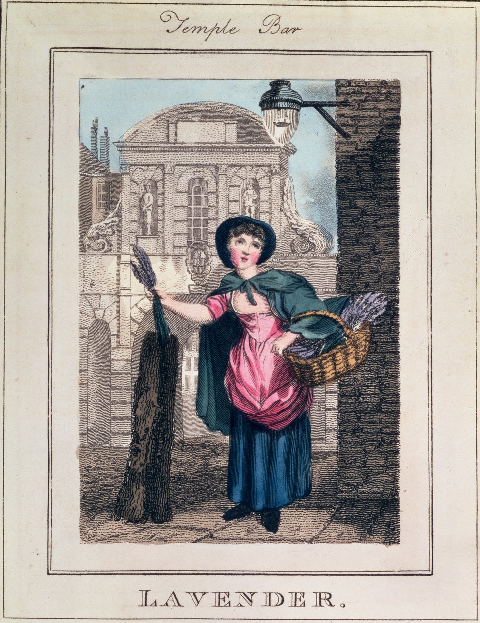 Lavanta, Temple Bar, 