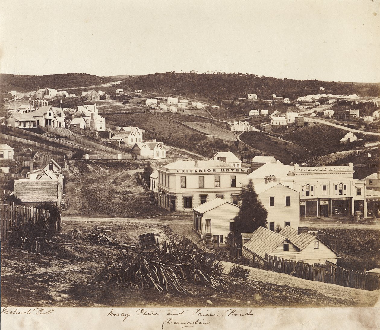 Moray Place ve Taieri Road, Dunedin (albüm baskısı) by William Meluish