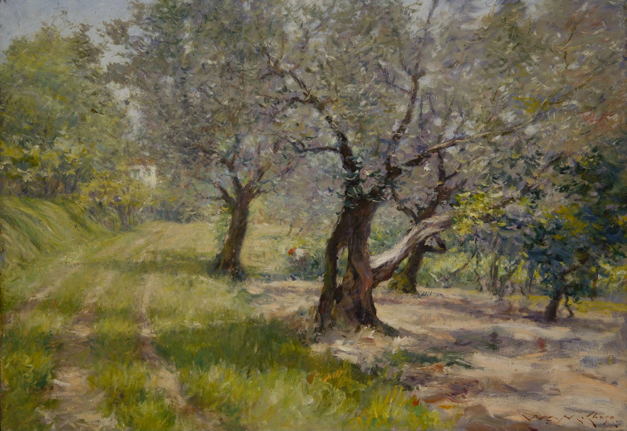 Zeytinlik by William Merritt Chase
