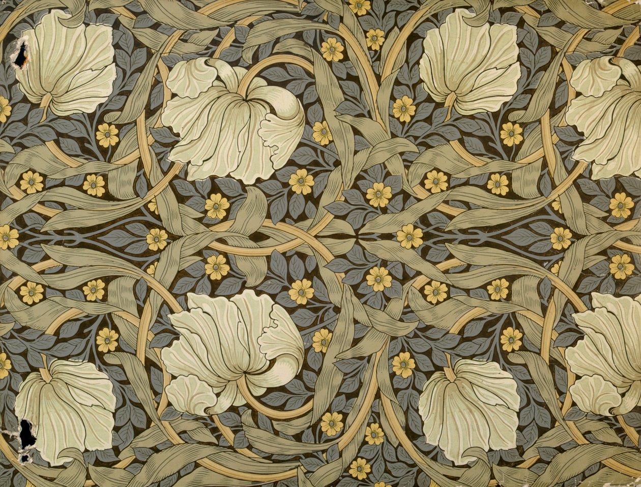 Pimpernel, duvar kağıdı tasarımı, 1876 by William Morris