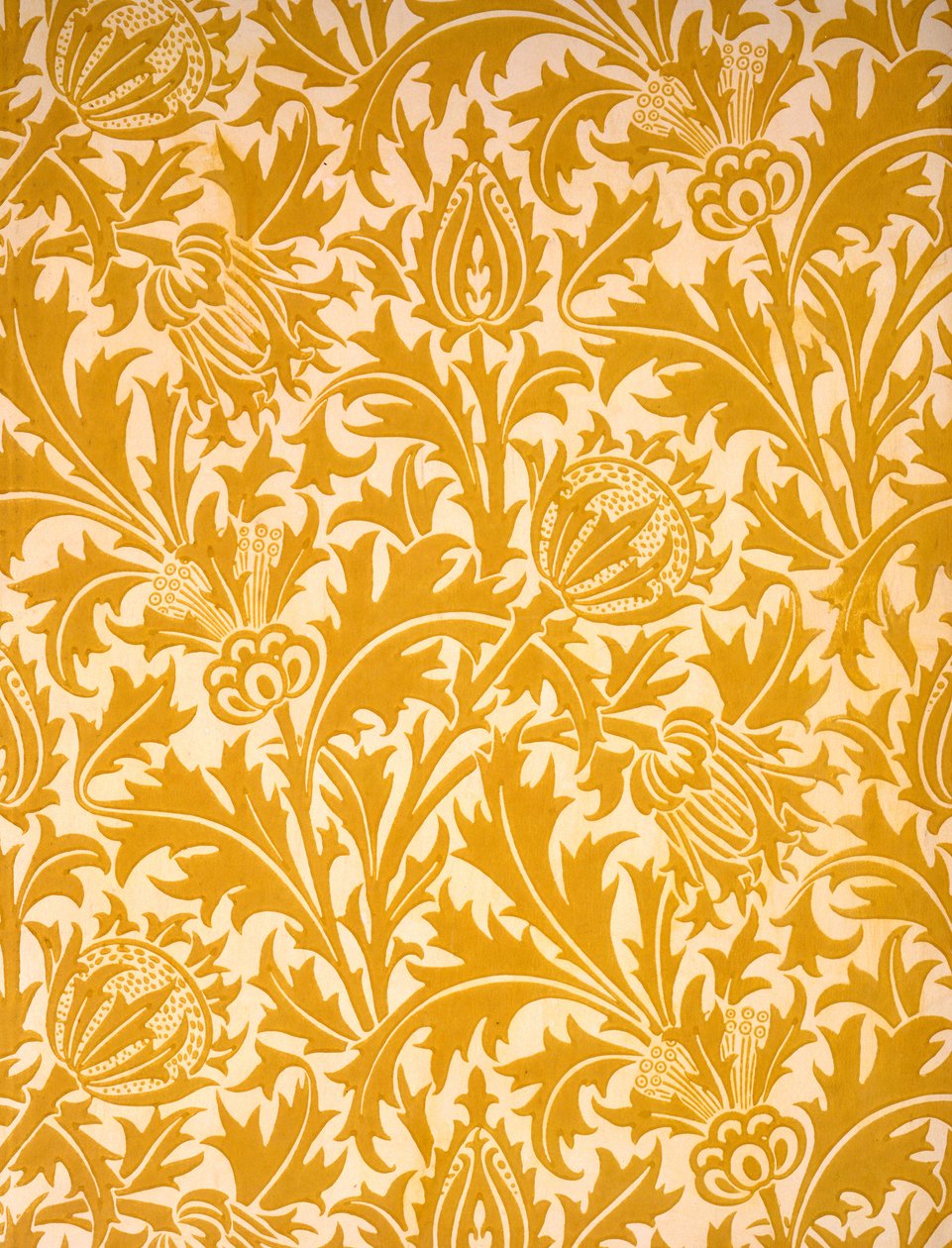 'Thistle' Duvar Kağıdı Tasarımı, 19. yüzyıl sonu (kağıt üzerine renkli tahta baskı) by William Morris