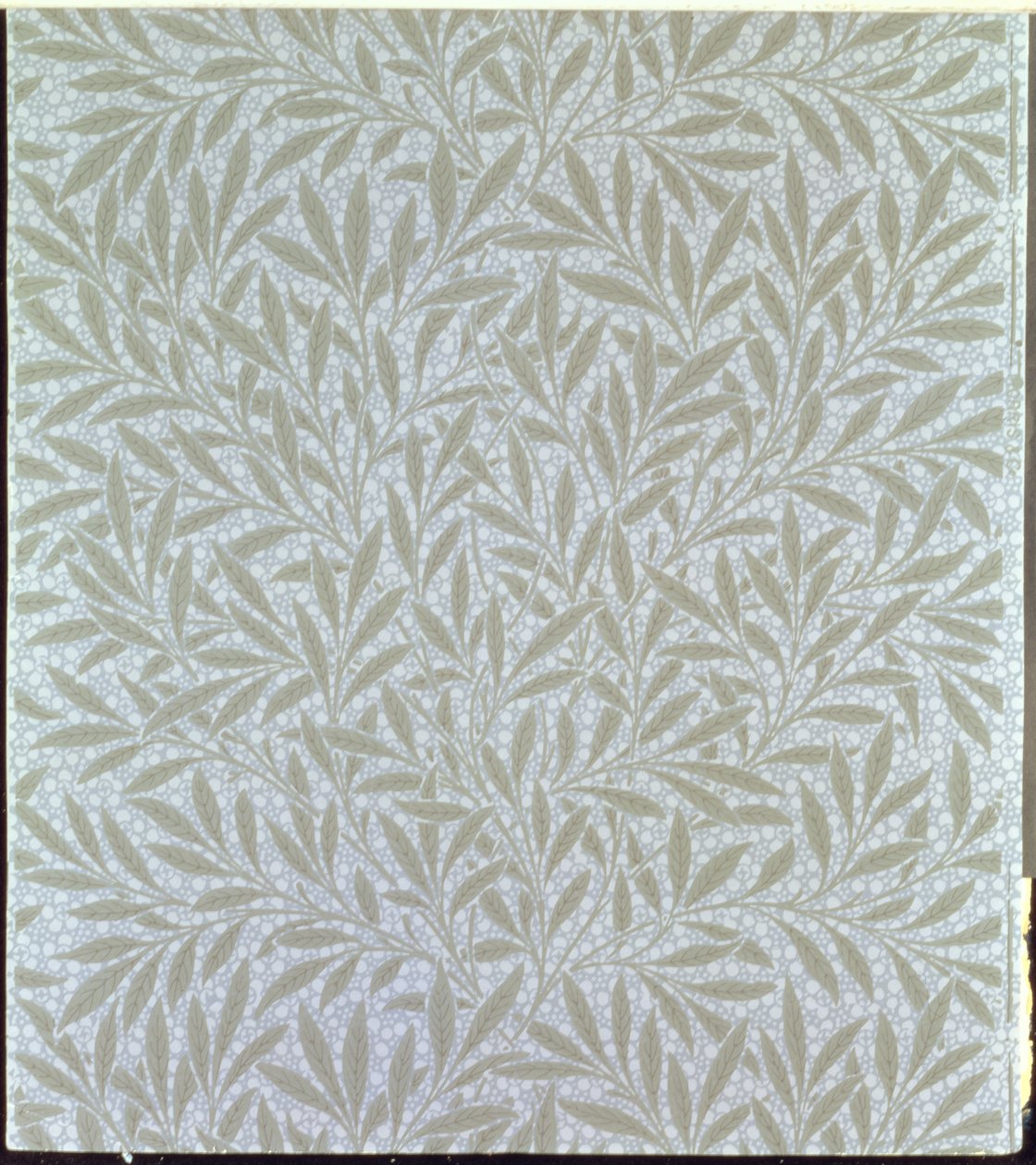 Söğüt duvar kağıdı tasarımı, 1874 by William Morris