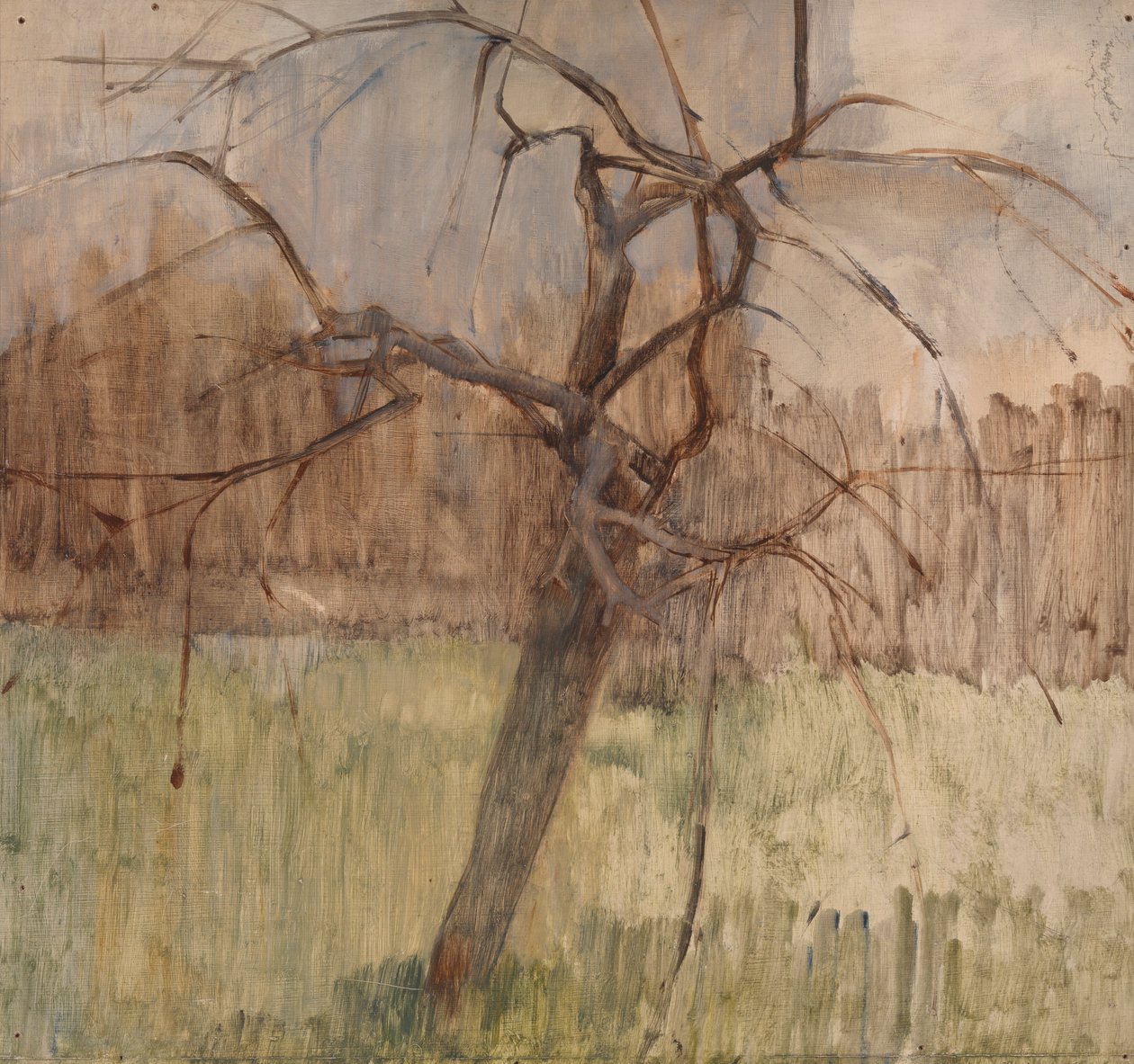 Elma Ağacı, 1963 by William Packer