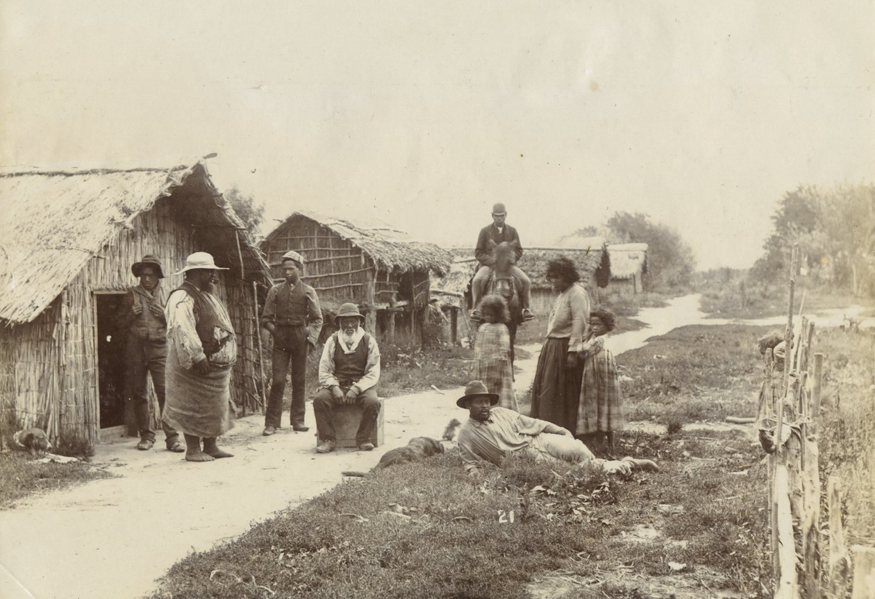 Kaiwhaiki pa, Upokongaro, c.1895 (gümüş jelatin baskı) by William Partington