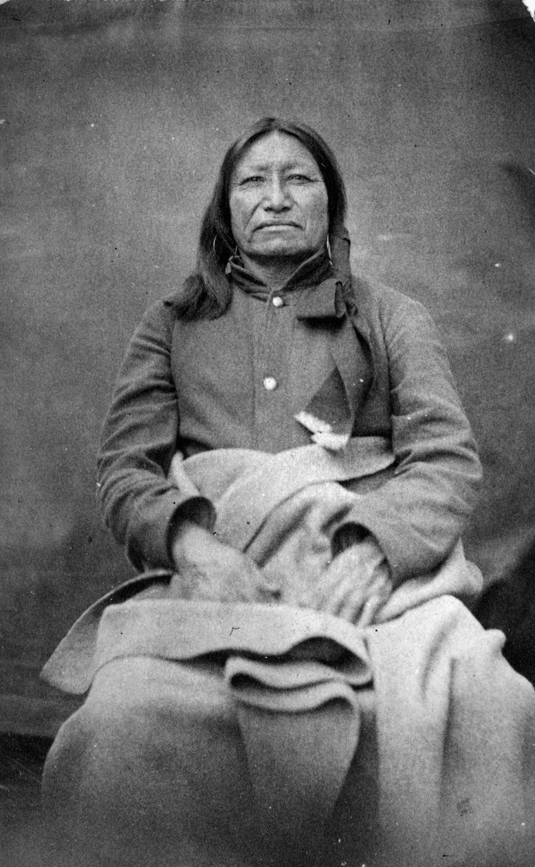 Benekli Kuyruk, Sioux Şefi, 1870 dolayları by William Richard Cross
