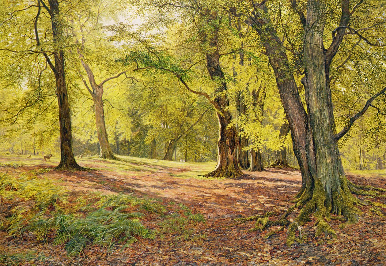 Kayın Ormanlarında by William Samuel Jay