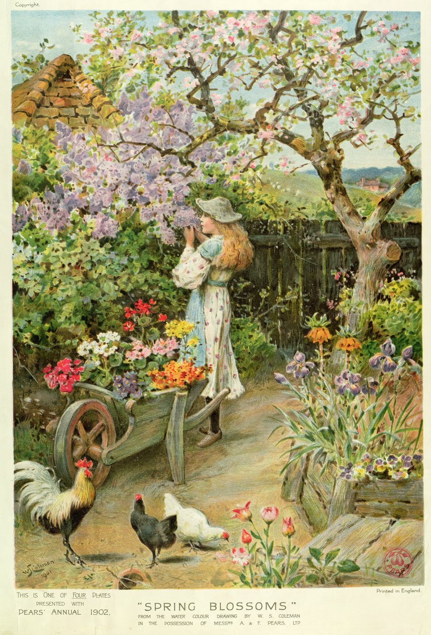 Armut Yıllığından Bahar Çiçekleri, 1902 by William Stephen Coleman