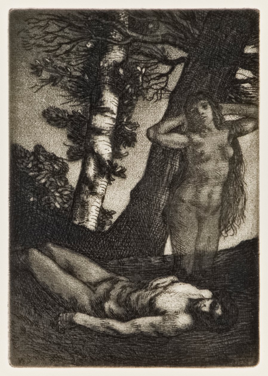 John Milton tarafından Kayıp Cennetten Havva'nın Yaratılışı (1608-1674) William Strang (1859-1921) tarafından kazınmış 12 resimlik bir dizi by William Strang
