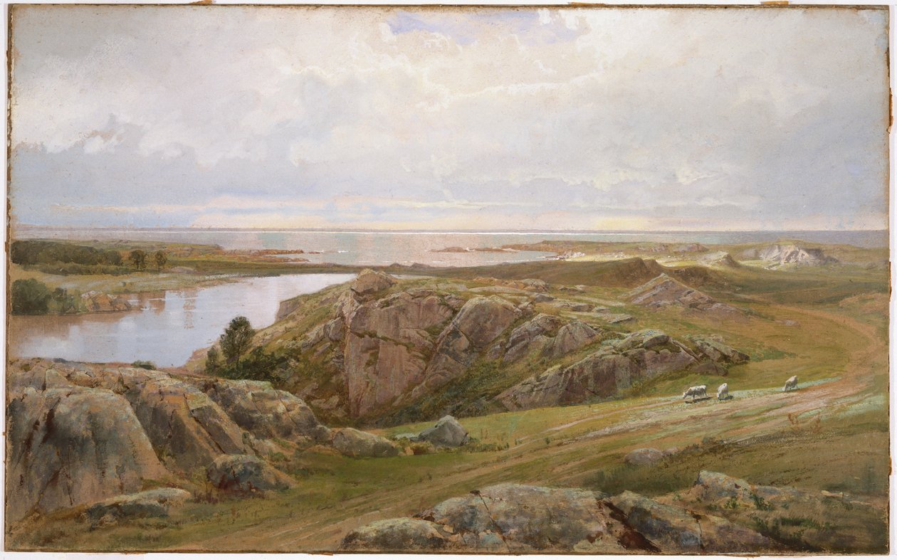 Lily Pond, Newport, 1877 (kağıt üzerinde wc) by William Trost Richards