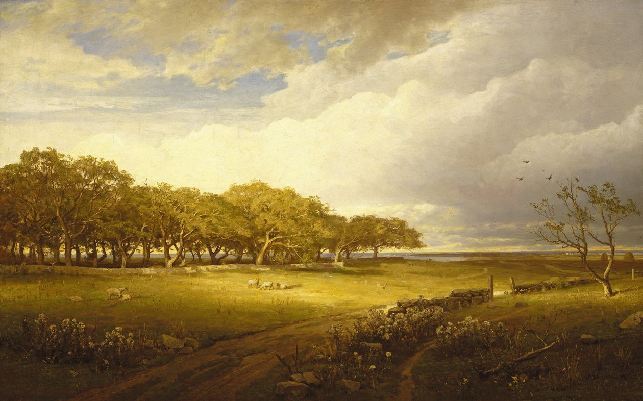 Newport