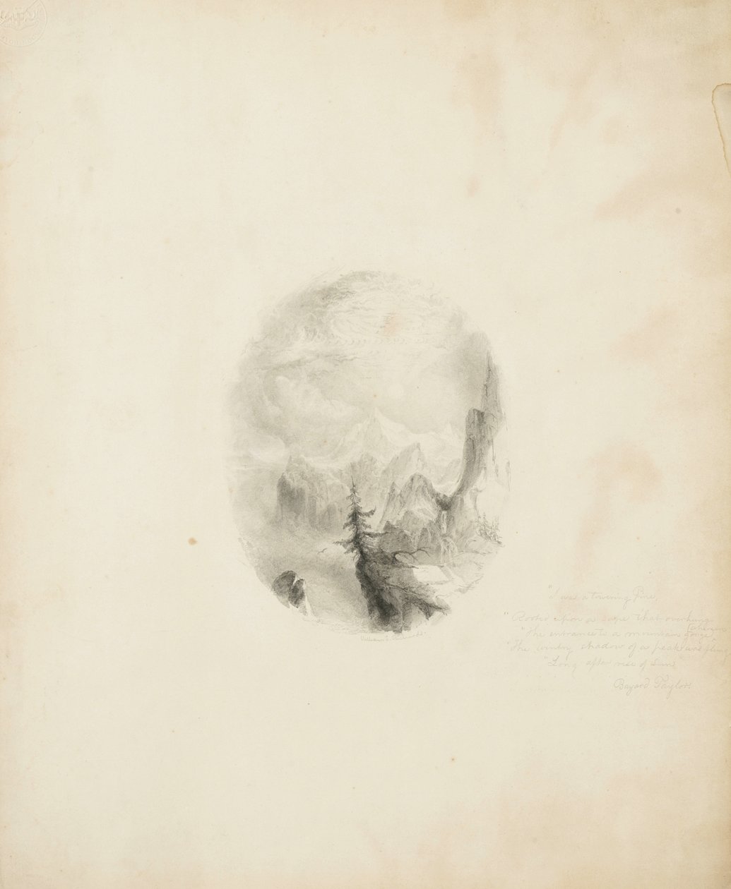 William Trost Richards, 1854 (graphite on buff illustration board) by William Trost Richards